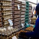Huevos Santa luz | Huevos por mayor y menos