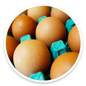 Huevos Santa luz | Huevos por mayor y menos