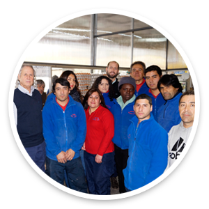 Huevos Santa luz | Huevos por mayor y menos